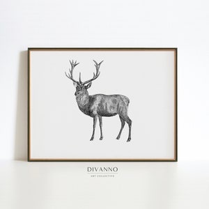 Vintage Reindeer Art Poster, Decorazione murale natalizia vittoriana, Ritratto animale invernale, Schizzo festivo, Arredamento casa colonica, Minimalista, Regalo d'arte
