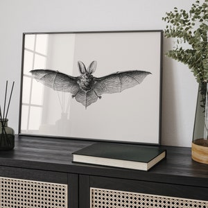 May include: Black and white illustration of a bat with its wings spread wide, framed in a black frame and hanging on a white wall above a black cabinet with woven rattan doors.