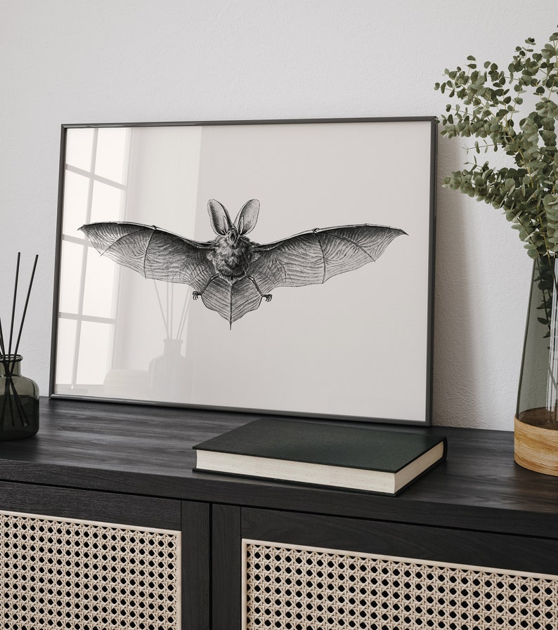 May include: Black and white illustration of a bat with its wings spread wide, framed in a black frame and hanging on a white wall above a black cabinet with woven rattan doors.