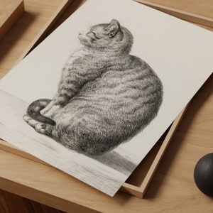 May include: A black and white pencil drawing of a tabby cat sitting on a white background. The cat is curled up with its tail tucked under its body. The cat's fur is detailed with shading and texture.