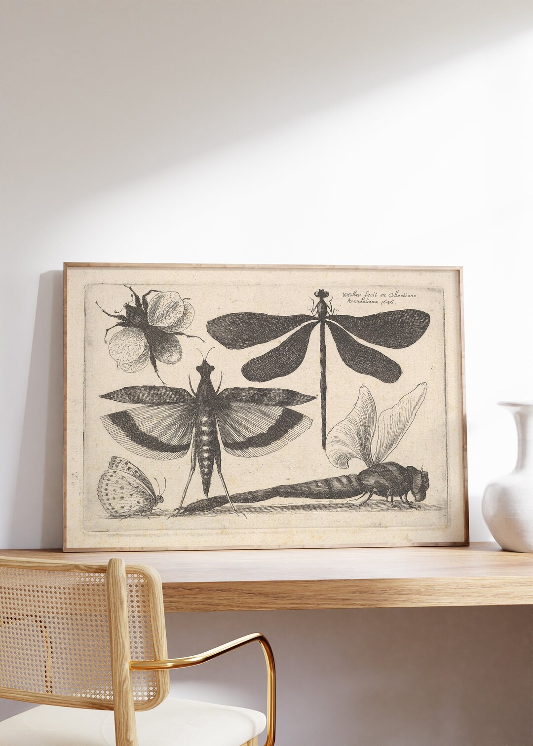 Antique Insects Print, Biology Art Painting, Farmhouse Home Decor ...