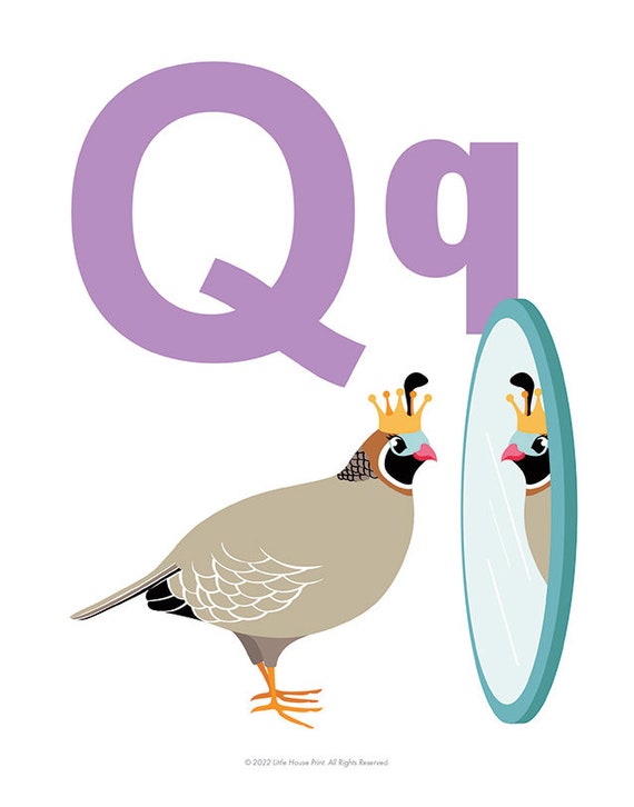 LETTER Q Animal Alphabet Graphic Print - Etsy LETTER Q Animal Alphabet Graphic Print - Etsy
