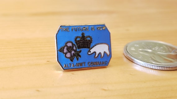 The Future Is Now ALTA-NWT Command - Beautiful Vi… - image 2