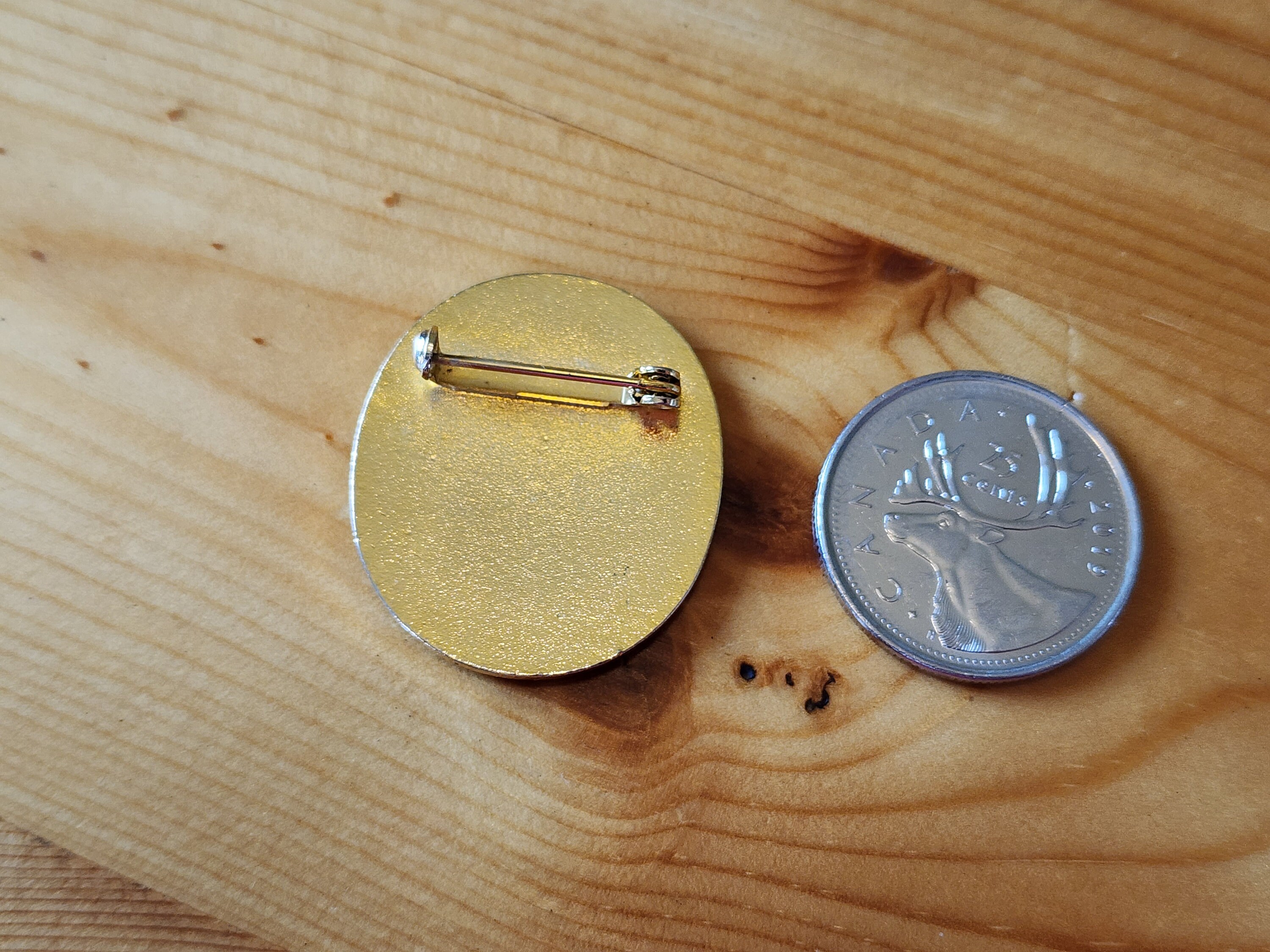 Vintage BCIT Enamel Pin - British Columbia Institute of Technology - Etsy