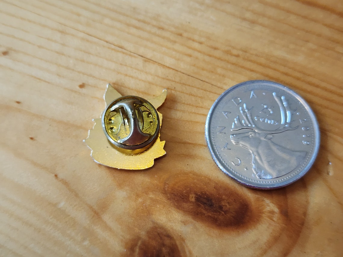 Vintage Bothwell Elementary School Pin - Surrey BC, Enamel Lapel Pin ...