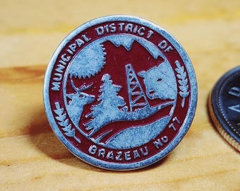 Vintage Enamel Brooch: Municipal District of Brazeau No 7 Pin