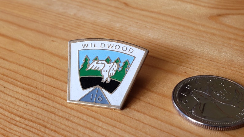 May include: A silver-colored pin with a white background and a blue and green design. The pin features a white bird flying over a green forest with the text "WILDWOOD" in black letters. The number "116" is printed in blue on the bottom of the pin.