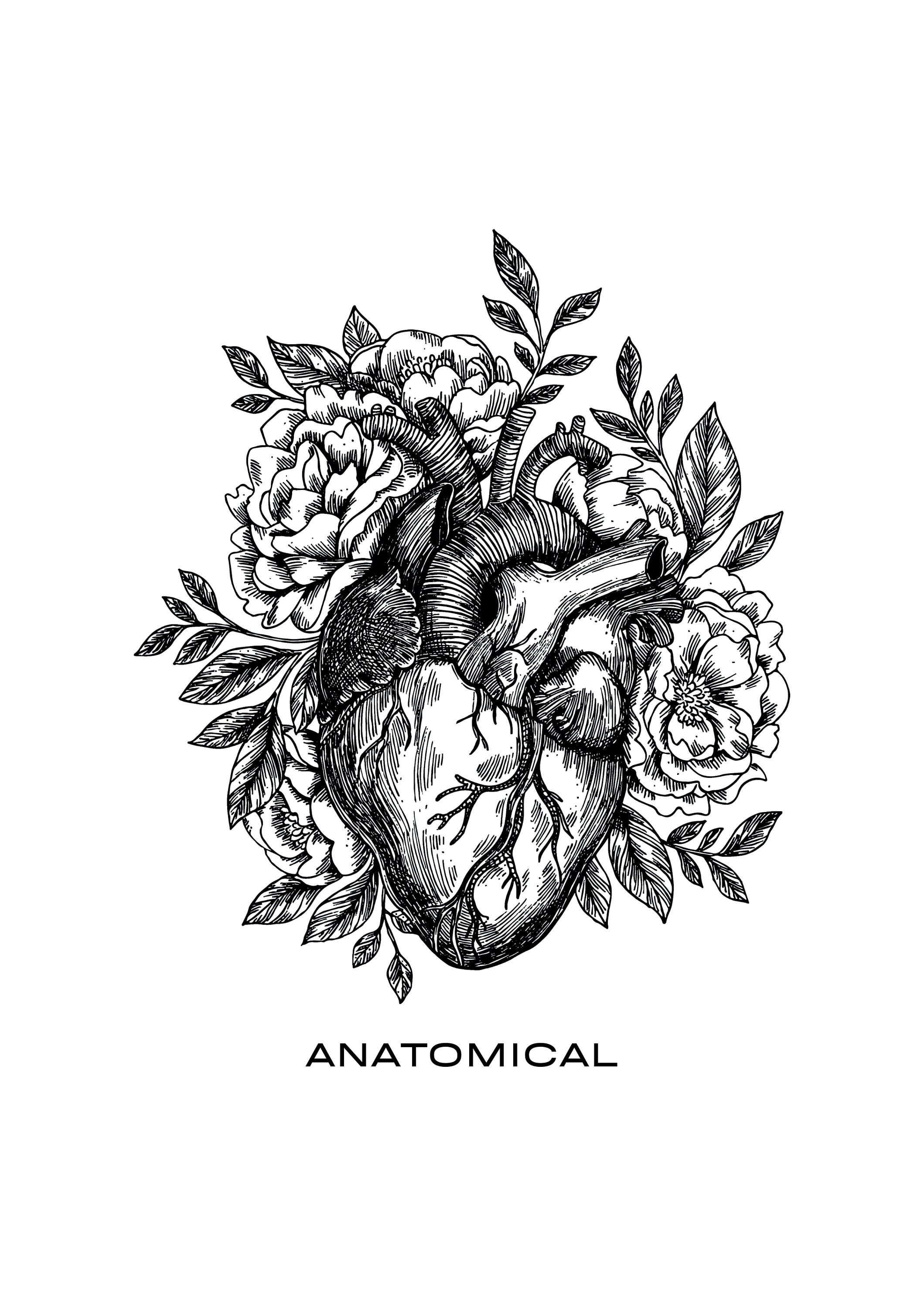 Anatomical Heart Print Vintage Medical Art Printable Wall Etsy Canada