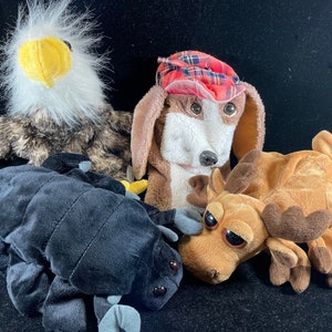May include: A collection of plush toys including an eagle, a dog wearing a plaid hat, a scorpion, and a moose. The eagle has brown and white feathers and a yellow beak. The dog is brown and white. The scorpion is black, and the moose is brown.