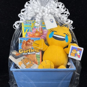 Garfield Gift Basket Plush Socks Book Puzzle DVD Vintage Comic Cat Gift Set