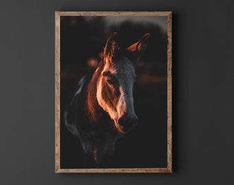 Donkey Print | DIY Wall Art | Art Prints | Digital Prints | Wall Decor