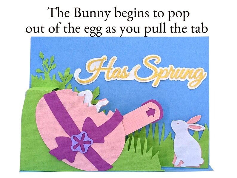 Easter Bunnies Pop up SVG Card for Cricut and Silhouette - Etsy