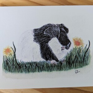 Carte de voeux de cochon d'Inde avec fleurs de pissenlit/Aquarelle