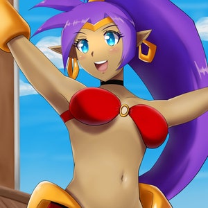 Shantae Art A3 Print Game Poster | WayForward