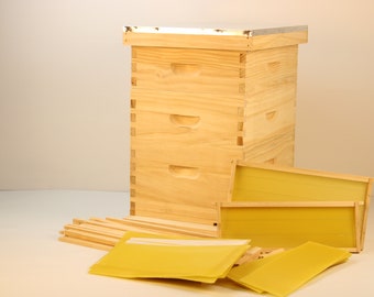 Langstroth Beehive 2 Super 1 Brood Flat Roof with Frames and wax