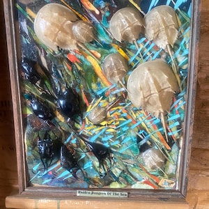 May include: A framed artwork depicting a collection of horseshoe crabs and other sea creatures in a colorful abstract background. The artwork is titled "Hidden Dangers Of The Sea".