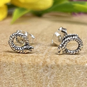 Circled Snake Stud Earrings | Solid 925 Sterling Silver Serpent Earrings Push Back | Trendy | Minimalist | Gothic, Punk, Biker Snake Jewelry