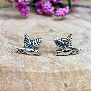 May include: A pair of silver hummingbird earrings. The earrings are small and delicate, and they feature a detailed hummingbird design.
