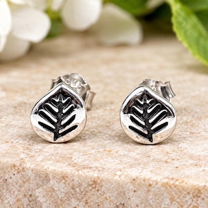 May include: A pair of silver stud earrings featuring a polished, rounded shape with a recessed, darkened fern leaf pattern in the center. Each earring includes a standard post back mechanism for secure attachment to the earlobe.