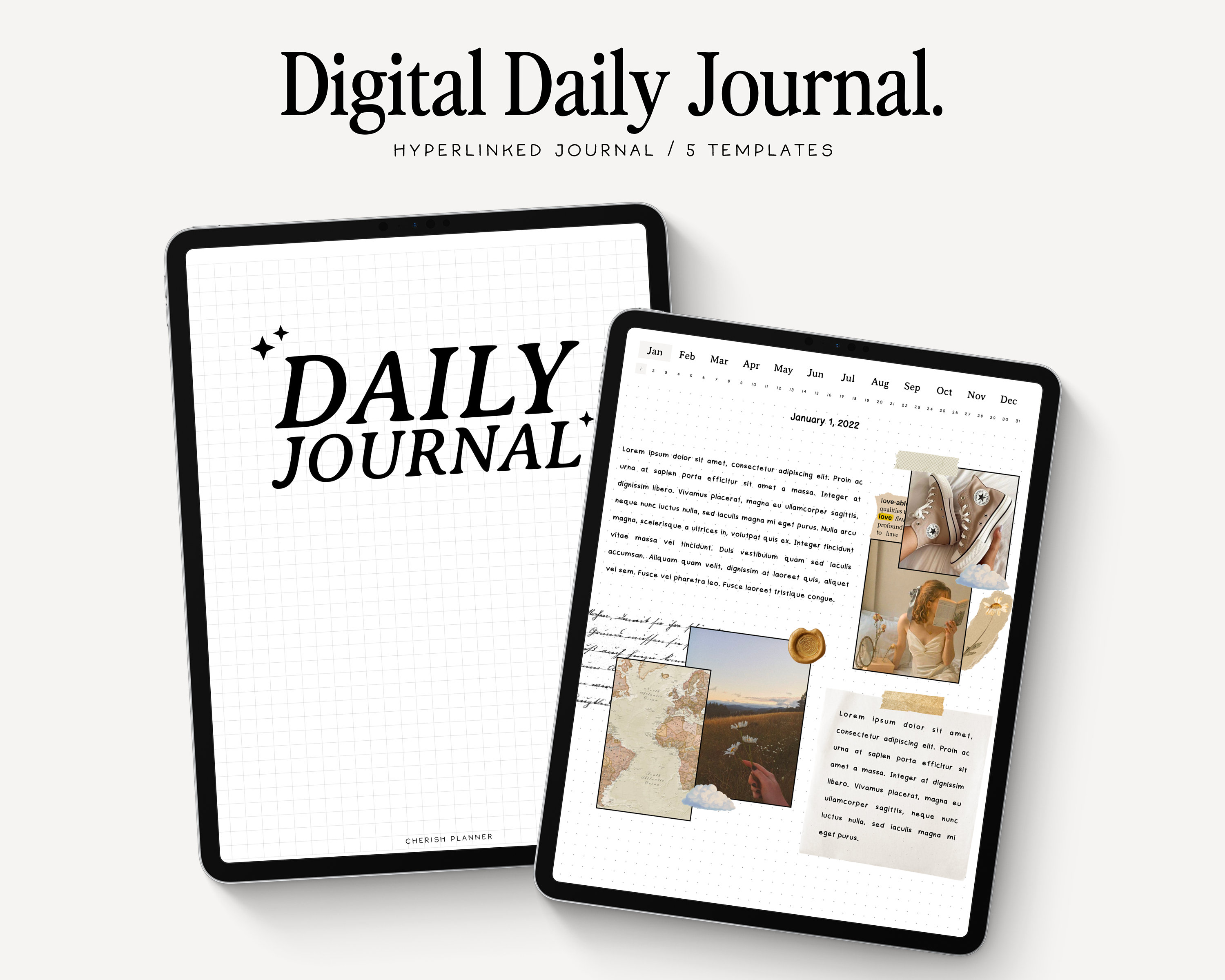 Digital Daily Journal | Goodnotes and Notability  | Hyperlinked Journal | 365 Pages | Neutral Journal