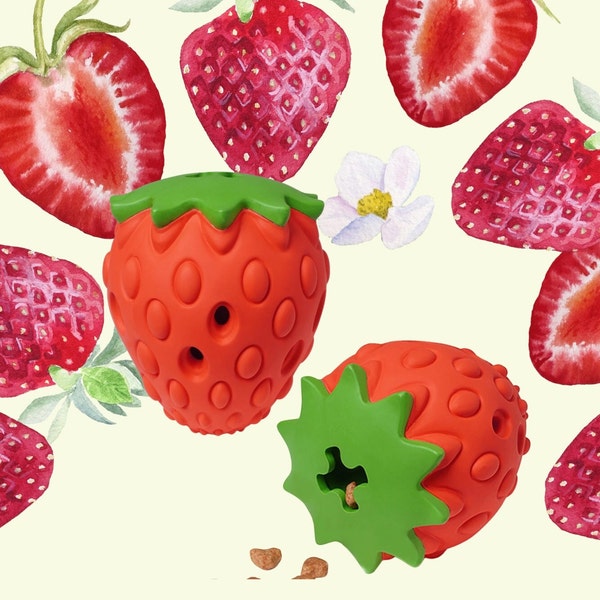 Strawberry  Dog Toy for Aggressive chewers