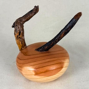 May include: A wooden sculpture with a rounded base and a natural wood grain pattern. Two dark, branch-like elements extend upwards. The sculpture features light and dark brown tones, showcasing the natural wood. The base is approximately 7 cm in diameter.