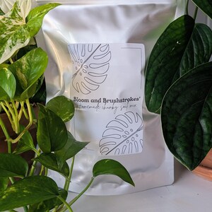 May include: A white bag of "Homemade chunky soil mix" with a label showing a monstera leaf design. The bag is surrounded by green plants, creating a natural, botanical theme.
