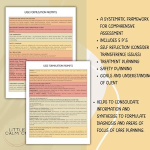 5 P Case Formulation Guide, Mental Health Assessment, Treatment ...