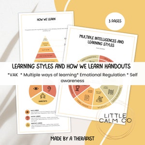 May include: A set of printable learning style handouts for kids. The handouts feature colorful illustrations of different learning styles, including visual, auditory, kinesthetic, verbal-linguistic, logical-mathematical, spatial, bodily-kinesthetic, musical, interpersonal, and naturalist. The handouts are titled "Learning Styles and How We Learn Handouts" and include the text "*VAK* Multiple ways of learning* Emotional Regulation * Self awareness".
