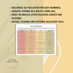 A promotional image for a digital download titled "Regulate Through Senses." it has writing that states: Encourages self-regulation and body awareness
Validates stimming as a healthy coping skill
Makes the nervous system education concrete and accessible
Distress tolerance and emotional regulation tools