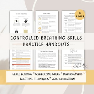 Controlled Breathing Techniques | Diagphramatic Breathing Skills Training |Deep Breathing Handout | Coping Tool Box | Grounding Techniques