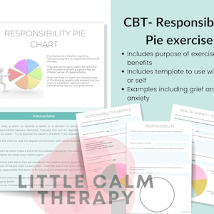 Cirkeldiagram CGT-verantwoordelijkheid, CGT-tool, therapie-hand-out voor gebruik door cliënt, tool gezondheidsangst