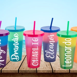5 pcs Color Changing Cups Tumblers with Lids Straws Reusable Bulk Tumblers  Plastic Cold Cups for Adults Kids 24oz Tumbler 