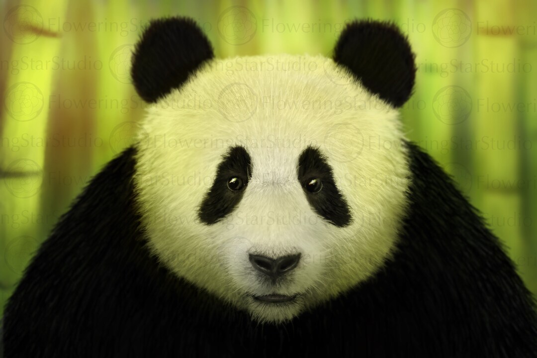 5-times Use Panda Digital Download - Etsy
