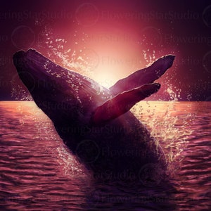 Single Use Whale Digital Download