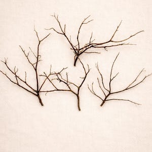 10 - 12" Red Fresh Manzanita Branches – Natural Jewelry Holder | Sculptural Branches for Minimalist Decor
