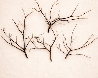 10 - 12 ""Rote frische Manzanita-Zweige - Natürlicher Schmuckhalter | Skulpturale Zweige für minimalistischen Dekor."