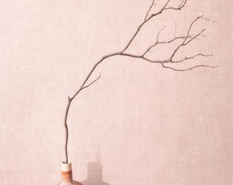 Tall Curled Manzanita Branch Decor • Sculptural Vase Branch • Natural Driftwood Style Branch • Japandi Minimalist Decor • Wabi Sabi Branch