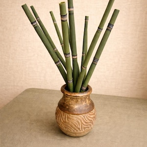 Dried Green Mini-Bamboo Stems •  Segmented Reed Stems • Minimalist Decor • 10 - 12" Horsetail Equisetum: Natural Botanical Floral Filler