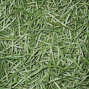 May include: Close-up of a pile of dried, green rosemary needles. The needles are long, thin, and have a slightly textured appearance. The color is a vibrant green with some lighter, almost white, streaks.