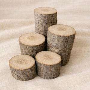 Mini Wooden Log Bundle | Upcycled Invasive Species Fairy Garden Stumps | Natural Wood Rounds for Dioramas, Crafts & Decor | Tree of Heaven