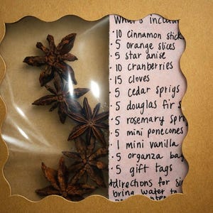 Mini Diy Simmer Pot Kit • Vanilla Spice Cabin Scent, Evergreen Winter Potpourri