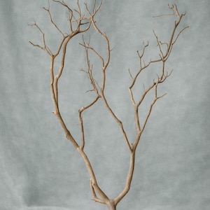 Stone Taupe Manzanita Branch | Painted Decorative Branch | Minimalist Botanical Decor | Modern Natural Home Decor | Neutral Decor