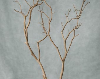 Stone Taupe Manzanita Branch | Painted Decorative Branch | Minimalist Botanical Decor | Modern Natural Home Decor | Neutral Decor