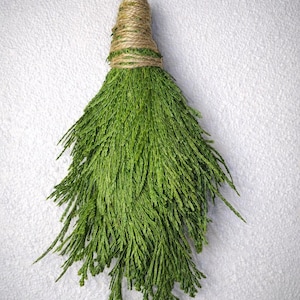 8" Fresh Incense Cedar Bundle • Hand Tied Cedar Bunch for Decor, Simmer Pots, Natural Insect Deterrent, Cleaning, Steam Aroma
