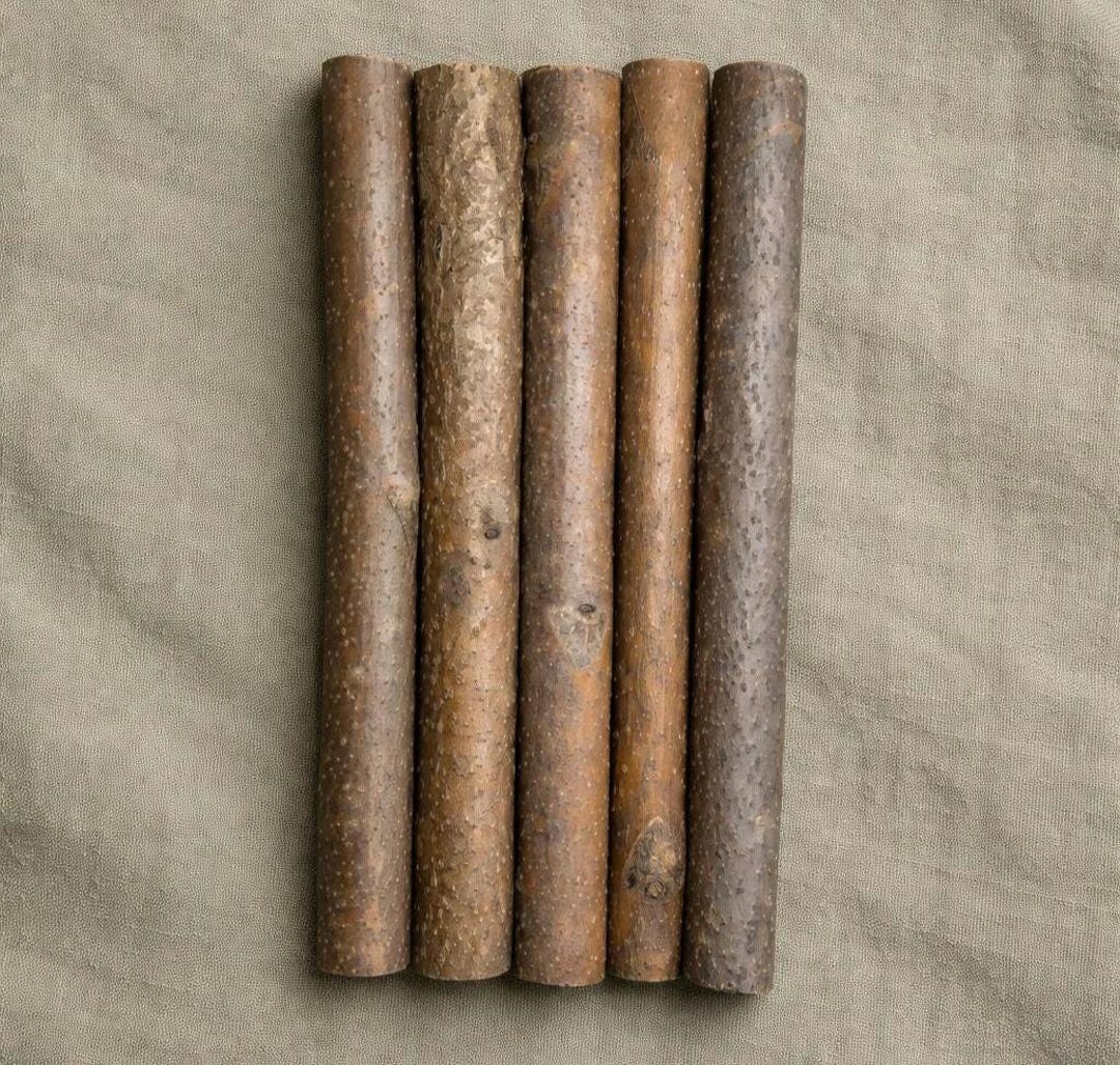 Tree Rods Natural Upcycled Tree of Heaven Wooden Rods | Invasive Species Wood Dowels ...