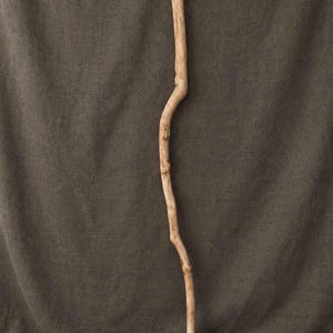 May include: A tall, slender walking stick crafted from natural light-colored wood. The staff features a distinct, organic S-curve shape with a smooth, weathered texture and visible wood grain patterns running along its entire length.