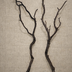 Curled Sculptural Manzanita Branch | Natural Wood Decor | Organic Shape | Natural Patina Branches