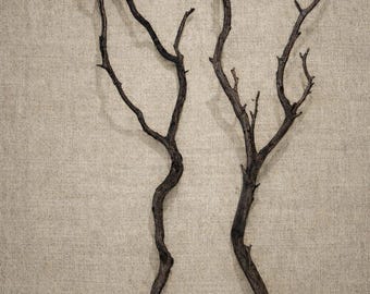 Curled Sculptural Manzanita Branch | Natural Wood Decor | Organic Shape | Tall Vase Branches | Natural Patina Branches