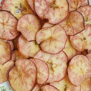 May include: A close-up shot of a white plate filled with dried apple slices. The apple slices are circular, with a reddish-pink hue around the edges and a lighter, yellowish center. The plate has a floral design around the rim.